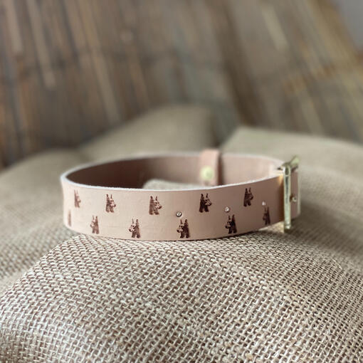 Custom Laser Engraved Dog Collar